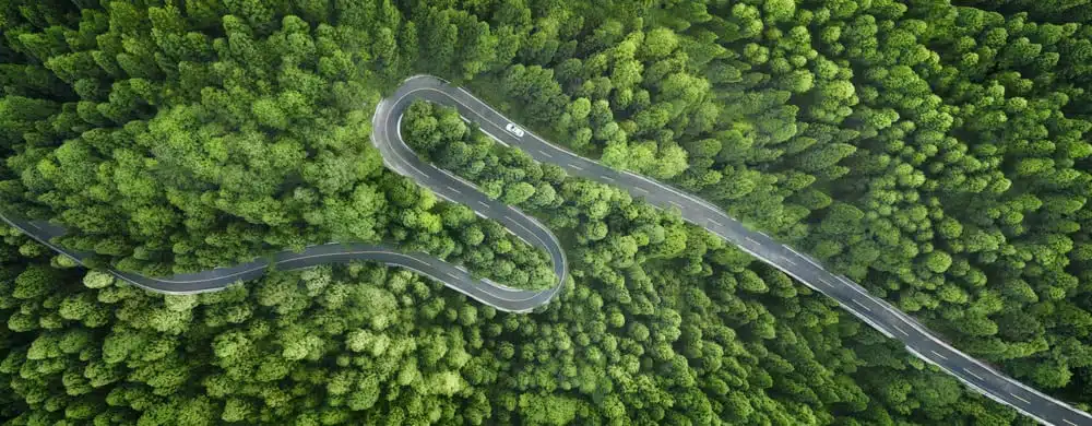 Route sinueuse en forêt illustrant l’éco-conduite et l’optimisation des déplacements en formation poids lourds